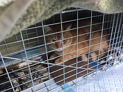 Faicuk Large Collapsible Humane Live Animal Cage Trap for Raccoon, Opossum, Stray Cat, Rabbit, Groundhog and Armadillo 32 x 11 x 13 Inch - size: 32" x 11" x 13"
