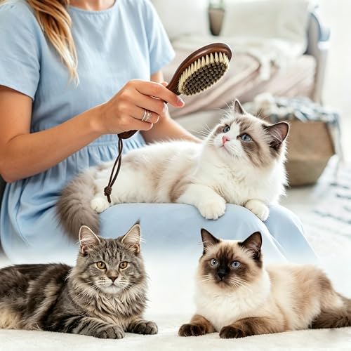Boar Bristle Cat Hair Brush,Gentle Grooming Brush for Short Haired Cats, Kittens, Small Dogs, Rabbit, Furry Pets Soft Natural Bristles Pet Brush with Wooden Handle for Sensitive Skin