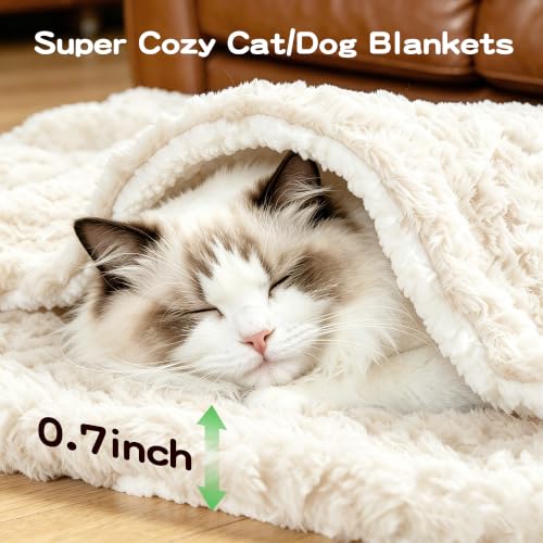 Cat Blanket for Indoor Cats Ultra-Soft Plush Small Blanket Machine Washable Cozy Calming for Kittens Cats Bed Couch Car 21"x18" White - color: White, size: 21 × 17 inch