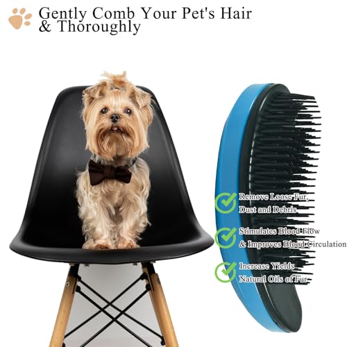 Small Dog Brush, Soft Puppy Brush, Massage Pet Grooming Tool | Small Dog Brush, Soft Pet Grooming Brush for Shih Tzu Yorkie Maltese, Puppy dog Cat Massage Brush for Small Animal - color: blue