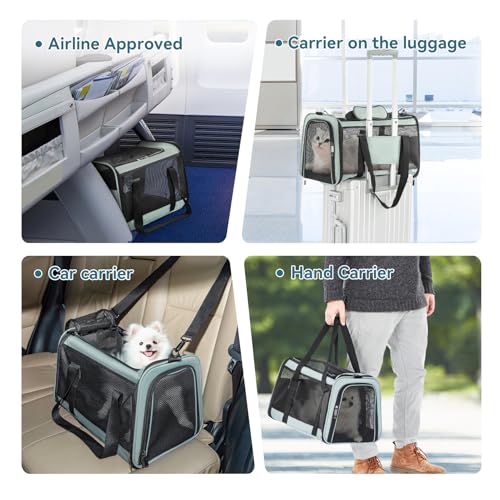 Petsfit Soft-Sided Cat Carrier,18 x 11 x 11 Pet Carrier | Airline Approved, Lightweight and Collapsible, Ventilation on 5 sides, Escape Proof, Adjustable Shoulder Strap & Soft Cushion - color: Z-Cyan blue, size: 18.0"L x 11.0"W x 11.0"H