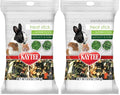 Kaytee Small Animal Treat Stick with Superfoods, Spinach & Kale, 5.5 oz (Pack of 2) - size: 5.5 Ounce (Pack of 2), style: Spinach & Kale