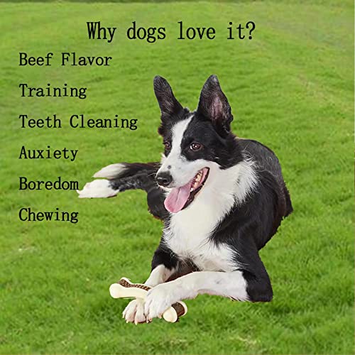Dog Bones Chew Toys for Aggressive Chewers, 3 Pack Real Beef Flavor,Indestructible Dog Teething Chew Toys for Large/Medium/Small Puppies Breed,Tough Pet Toy with Nylon - size: 3 PCS-Beef Flavor