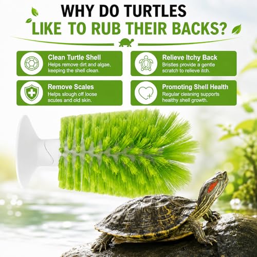 Turtle Scrub Brush, Turtle Scratches Back Brush Turtle Shell Clean Brush with Suction Cup Turtle Exfoliate Brush Tank Tortoise Brush for Remove Turtle Shell Scutes Mud Dirt