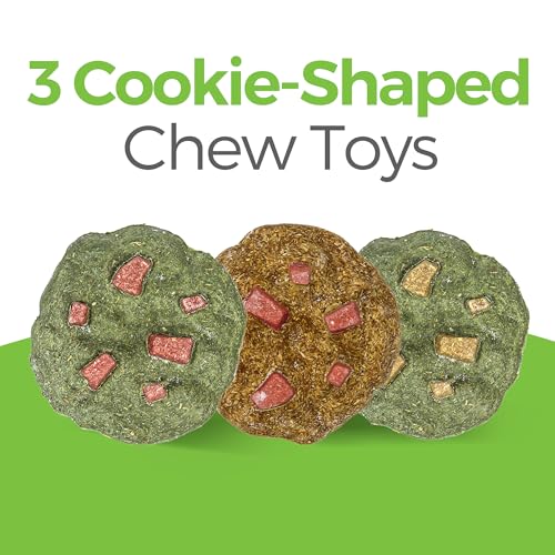 TEEWY Cookie Guinea Pig Toys, Natural Vegetables, Fruits and Timothy, Hamster Chew Toys for Teeth, Hamster Chews for Guinea Pig, Gerbil, Chinchilla and Rat, 3PCS - style: 3PCS-Cookie