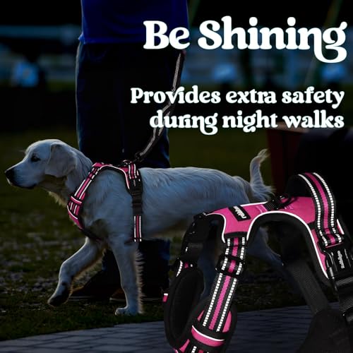rabbitgoo Dog Harness Small Sized, Updated Easy On & Off with 3 Buckles | No Pull No Choke, Walking with 2 Clips and Handle, Adjustable Soft Reflective, Rose Pink, Small - color: Rose Pink, size: Small