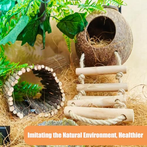 TEICCI 20-Piece Bearded Dragon Tank Accessories Set | Leopard Gecko Tank Accessories, Reptile Bridge, Bearded Dragon Hammock, Suitable for Lizards, Geckos, And Chameleons