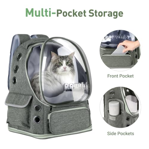 Cat Backpack Carrier Clear Bubble Window for Cats & Small Dogs up to 15 lb | Large Space Breathable Foldable Pet Carrier Airline Approved, Mesh Entry Safety Tether Washable Pad, Travel Hiking Outdoor - color: Gray