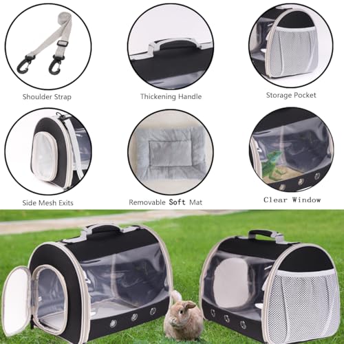 Bearded Dragon Travel Carrier Backpack,Lizard Backpack Carrier,Space Capsule Clear Bubble Window Astronaut Reptile Carrier Backpack for Guinea Pig,Sugar Glider,Bunny (Grey, TPU Carrier+MAT) - color: Grey
