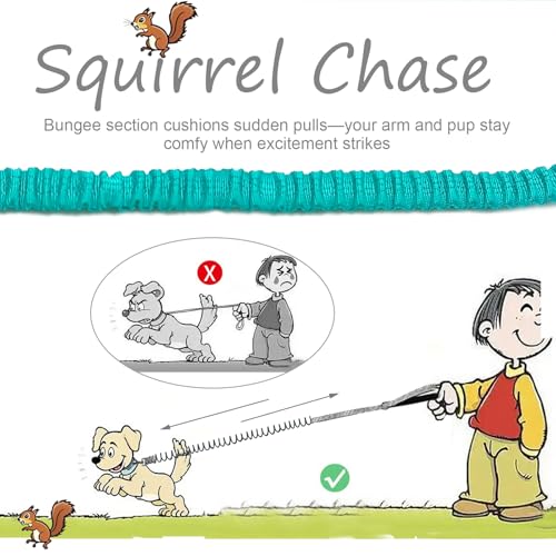 5FT Bungee Dog Leash Shock Absorbing Reflective Small Medium Dogs | Nylon Lightweight Leash- 2cm Wide- Anti- Pull Training- 6 Colors (Turquoise) - color: Turquoise