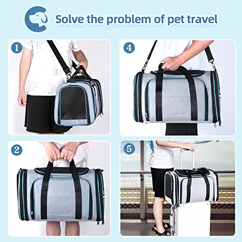 Cat Dog Airline Approved Expandable Pet Carrier for Small Pets | Removable Pad, Pockets, TSA Compliant, Soft-Sided, Breathable Mesh Window - size: 43.0"L x 32.0"W x 12.0"H