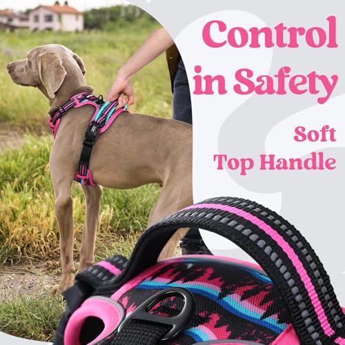 rabbitgoo Dog Harness Small Sized, Updated Easy On & Off with 3 Buckles | No Pull No Choke, Walking with 2 Clips and Handle, Adjustable Soft Reflective, Mountain Rose, Small - color: Mountain Rose, size: Small