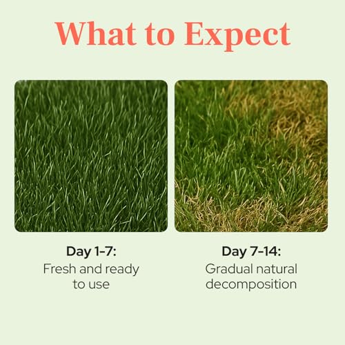 Natural Grass Patch for Guinea Pig, Hamster, Rabbit, Grande 24x9 | All-natural, disposable grass bed for indoor/outdoor use - supports burrowing, foraging, and chewing instincts in small pets - size: Grande
