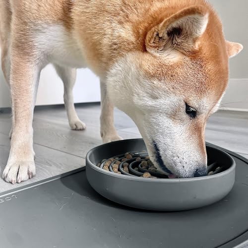 Slow Feeder Dog Bowls - Medium Size Silicone Slow Eating Dog Bowl for Puppies & Dogs with Suction Cup -Dishwasher-Safe,Lick Mat Design,Reduces Gulping,for All Breeds,7.5”x1.5”- Charcoal - color: Charcoal - Rainbow Design, size: Medium (7.5” Across x 1.5”