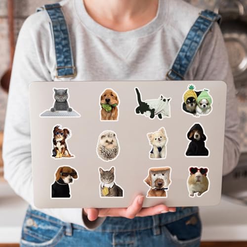 50PCS Transparent Cute Animal Stickers, Fun Stickers for Kids | Waterproof PET Pet Stickers for Water Bottle Sticker, Journaling, Scrapbook, Laptop, Phone, Luggage - style: PET