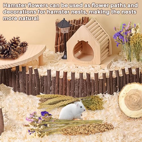 Sukh Natural Hamster Bedding Sprays - Foraging Cage Accessories | Habitat Decor & Enrichment for Dwarf and Syrian Hamsters, Gerbils, Mice and Small Animals Cage Hideout Accessories
