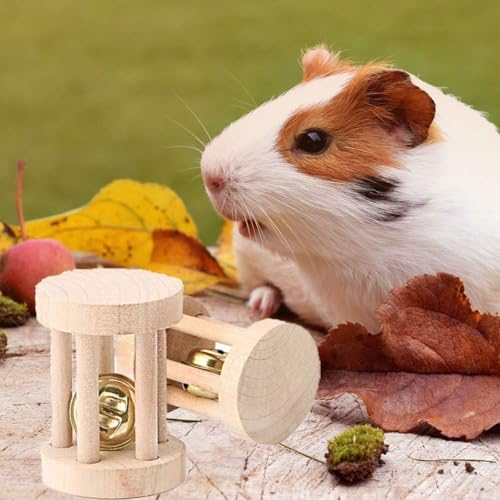 5 Pcs Hamster Chew Toys, Natural Wooden Chew Toy Set with Bell for Teeth Grinding, Dumbbell Roller Unicycle Molar Ball, Small Animals Toys for Rabbit Guinea Pig Chinchilla Gerbil Bird