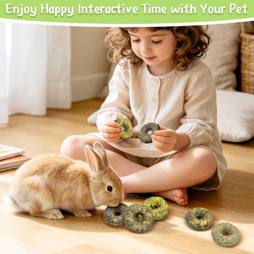 Fhiny 20 PCS Rabbit Chew Toys, Rabbit Treats with Natural Grass and Flowers, Pet Molar Grass Cakes for Guinea Pigs, Chinchillas, Hamsters and Other Small Rodents - size: 20 PCS