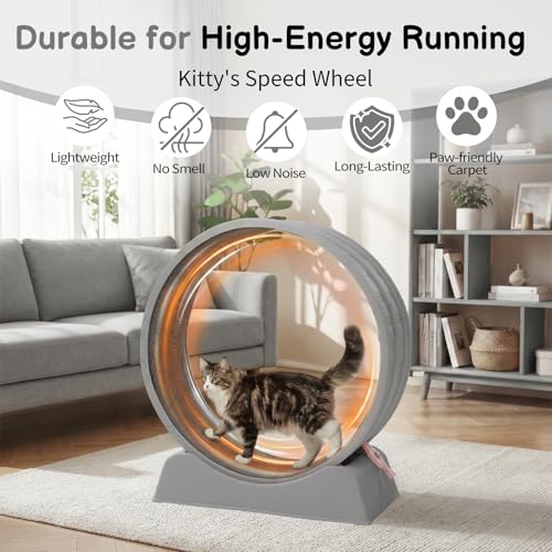 Cat Exercise Wheel for Indoor Cats, 31.5" Cat Treadmill with Detachable Carpet ＆ Locking Mechanism, Cats Running Wheel Helps Cats to Lose Weight and Keep Health, Easy Assembled (Gray)