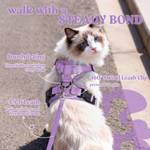 rabbitgoo Cat Harness and Leash Set, Escape Proof Vest, Purr-ple Daisy | Soft Breathable Mesh, Easy Adjustable Fit, Snap Buckles, Sturdy Clip, Reflective Strips, for Kittens & Small Cats Walks, Xxs - color: Purr-ple Daisy, size: Xxs