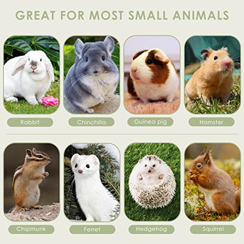 ERKOON Chinchilla Treats, Chew Toys for Teeth for Rabbit Guinea Pig Gerbil Rat Dwarf Hamster (Mixed-Large Size)
