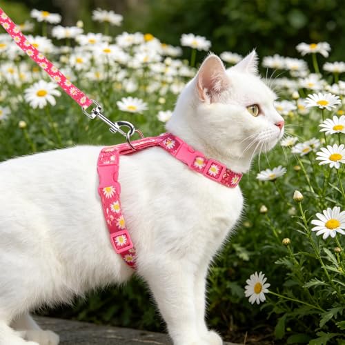 PUPTECK Adjustable Cat Harness and Leash Set Escape Proof Kitten Strap Collar for Walking Travel, Daisy Pattern - color: Fuchsia(Daisy), size: Small