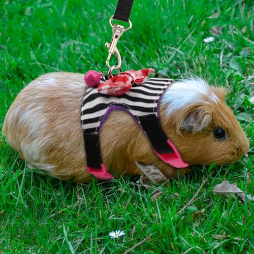 Hypeety Small Animal Harness Vest and Leash Set Soft Mesh Small Pet Harness Hamster Rabbit Chest Back Outdoor Leash Traction Rope for Ferret Guinea Pig Kitten Clothes Accessory (S, Black Stripe) - color: Black Stripe, size: S
