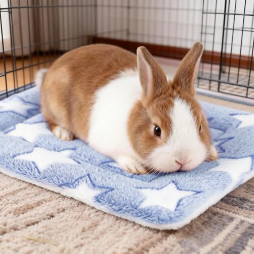 Guinea Pig Bed, 2 Pack (12x10 Inch) Soft Plush Small Animal Bed Mat, Washable Bedding Blanket Sleeping Warm Pad for Bunny, Rat, Ferret, Chinchilla - color: Light Blue