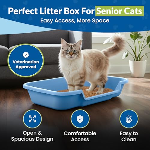 KittyGohere Senior Cat Litter Box Large with Scoop, 2 Pack Blue | Open Top Low Entrance Kitty Litter Box With Long-handle Jumbo Scoop, Lightweight Low Entry Litters Box, Durable, Made in USA - color: Little Boy Blue, size: Large(2 Pack) with Scoop