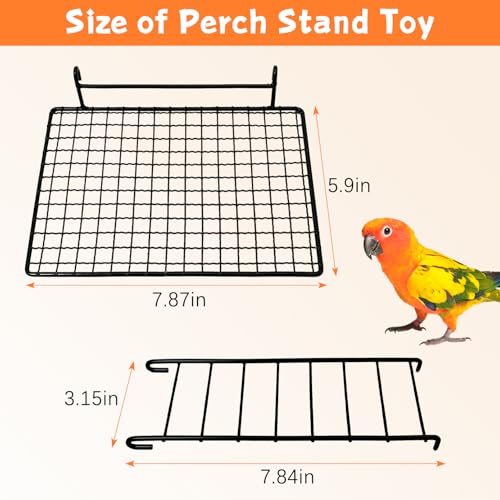 BNOSDM Stainless Steel Grid Platform for Parakeet 4 PCS Bird Perches Platform Parrot Stand with Climbing Ladder Bird Cage Accessories for Small to Large Birds (L)