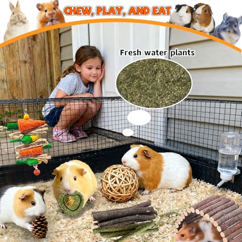 Rabbit Toys Bunny chew/Guinea Pig Toys Natural Timothy Hay Sticks Apple Wood Sticks Handmade for Guinea Pig Hamster Rat Chinchilla (TOY-1-18) - color: TOY-1-18