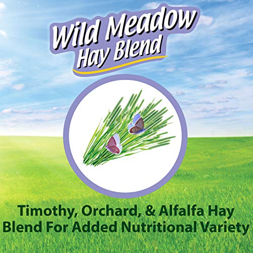 Kaytee All Natural Timothy Hay Wild Meadow Hay Blend for Guinea Pigs, Rabbits & Other Small Animals, 24 Ounce - size: 1.5 Pound (Pack of 1)