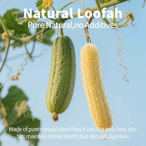 BESNEW Rabbit Chew Toys,100% Natural Loofah Without Additives,Bunny Chew Toys for Teeth,Fiber-Rich Rabbit Treats for Bunny Chinchilla Dogs - style: 1 ps
