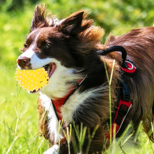 FRCOLOR Hedgehog Dog Squeaky Toys 2 Pcs Pet Molar Toys Latex Chew Toys for Puppies Interactive Teething Toys for Dental Care Cartoon Pet Toys 3.54 X 2.75 X 2.36 in