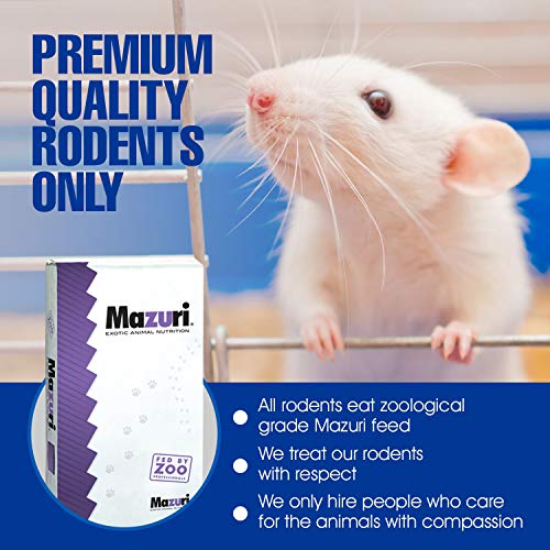 MiceDirect 14 Frozen Rat Combo 14 Pack of 7 Larges and 7 Rat Jumbo Feeders Snake Food (9-11 in)(3150 Grams Min) - size: 9-11 in (Pack of 14)