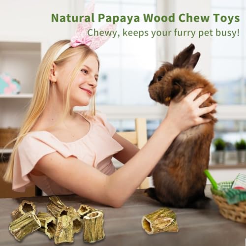 Fhiny Rabbit Chew Toys, 8 PCS 2" Natural Papaya Wood Chew Sticks Guinea Pig Treats for Dental Care Bunny Treats for Rabbits Small Pet Molar Snacks for Bunny Guinea Pig Chinchilla Hamster Gerbil