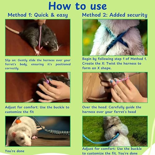 Ferret Leash Harness Adjustable Squirrel, Ferret Leash and Harness Sets for Ferrets Guinea Pig Chinchilla Rat Dragon Bearded Small Animal, Pet Squirrel Ferrets Accessories (Pink) - color: Pink