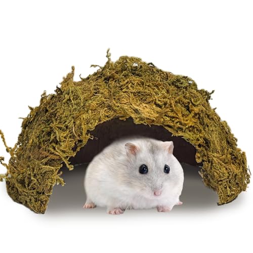 kathson Hamster Hideout House,Natural Mossy Coconut Hut Hides Hideaway | Pet Hiding House, Small Animal Cage Accessories for Mouse Mice Rat Gerbil Reptiles - size: 1 Pcs Small