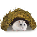 kathson Hamster Hideout House,Natural Mossy Coconut Hut Hides Hideaway | Pet Hiding House, Small Animal Cage Accessories for Mouse Mice Rat Gerbil Reptiles - size: 1 Pcs Small