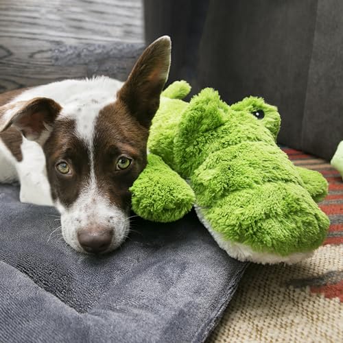 KONG Cozie Ali Alligator XL - size: X-Large (Pack of 1), style: Ali the Alligator