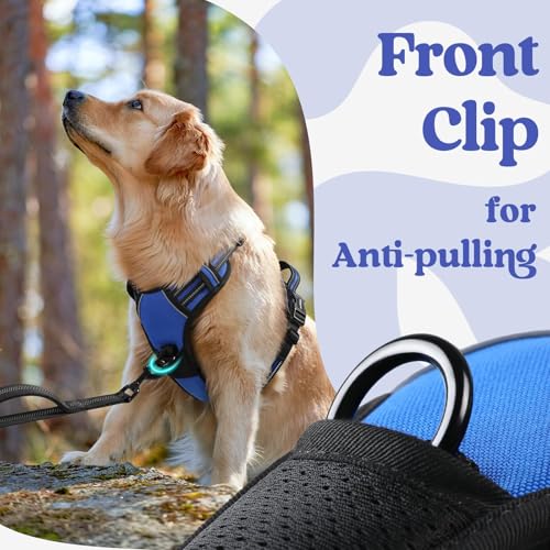 rabbitgoo Dog Harness Small Sized, Updated Easy On & Off with 3 Buckles | No Pull No Choke, Walking with 2 Clips and Handle, Adjustable Soft Reflective, Blue, Small - color: Blue, size: Small