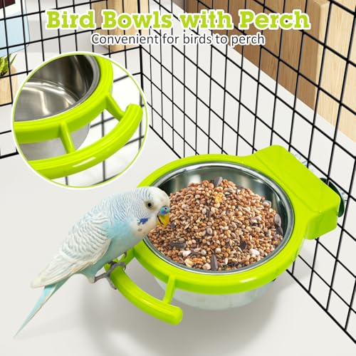 Stainless Steel Bird Bowls for Cage 2 Pcs Parrot Feeding Dish Metal Food and Water Cups Detachable Birds Cage Feeder Hanging Finch Food Plates with Perch for Parakeet Budgie Lovebird (Green) - color: Green