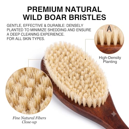 Wooden Bath Brush with Gentle Bristles Long Handle for Shower Back Scrubber Body Exfoliator (Gental Boar Bristle) - color: Gental Boar Bristle