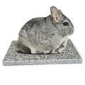 Chinchilla Cooling Stone Durable Cool Down Easy Clean in Hot Summer for Rabbit Hamster Guinea Pig Chinchilla Kitten Small Animals Spots of Grey