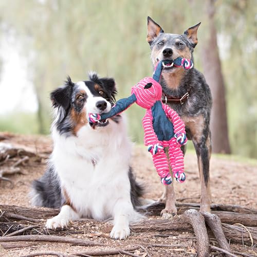KONG Floppy Knots Rope and Plush Dog Toy, Fox, Medium/Large | Knotted Rope & Plush Toy with Minimal Stuffing & a Squeaker, Great for Teething, Tugging & Lively Play - color: Fox, size: Medium/Large