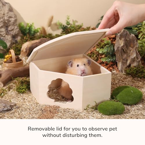 Natural Wooden Hamster House Hideout Small Animals Habitat Exploring Toys for Dwarf & Syrian Hamster, Gerbils, Mice, Rats, Hedgehog, Lemmings (Chestnut Shape Hole)