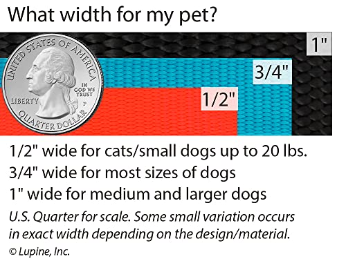 LupinePet Basics 1/2" Pink 4-foot Padded Handle Leash for Small Pets - size: Leash - 1/2"W; 4-Foot