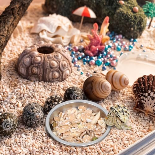 4 Pack Hermit Crab Food and Water Bowl, Small Stainless Steel Reptile Feeding Dish Bowl Mini Feeding Dishes for Hermit Crab Lizard Gecko Bearded Dragon Chameleon (2" W x 2" D x 0.4" H)
