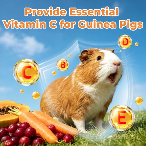 Zoody Multivitamin Vitamin C Timothy Hay for Rabbit, Guinea Pigs 4 oz | Healthy Rabbit treats, Vitamin C for Guinea Pigs, Hamsters, Rat food, Small Pet Supplies