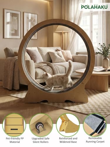 Cat Wheel for Indoor Cats, 48 Inch Diameter Exercise Running Wheel | Enhanced Base, Safety Lock, Quiet, For Cat's Longer Life Fitness, Wide Surface, Low-Entry Design, Easy Assembly, Natural Wood - color: Natural